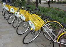レンタサイクル（看板には寄贈社名も）