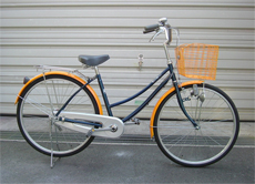 塗装仕様車