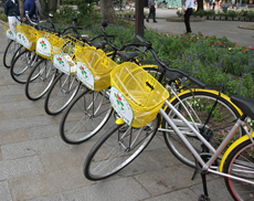 公園で利用されているレンタサイクル